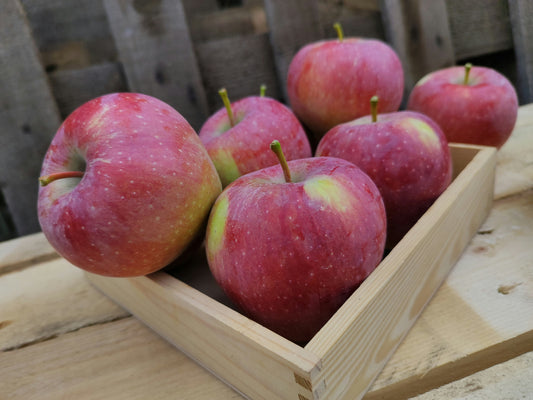 Frutos del Bosque